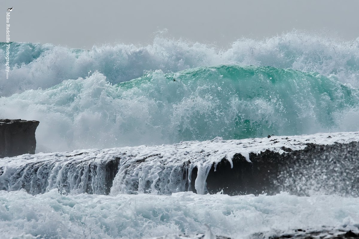 Mike Radcliffe Photography tweet media