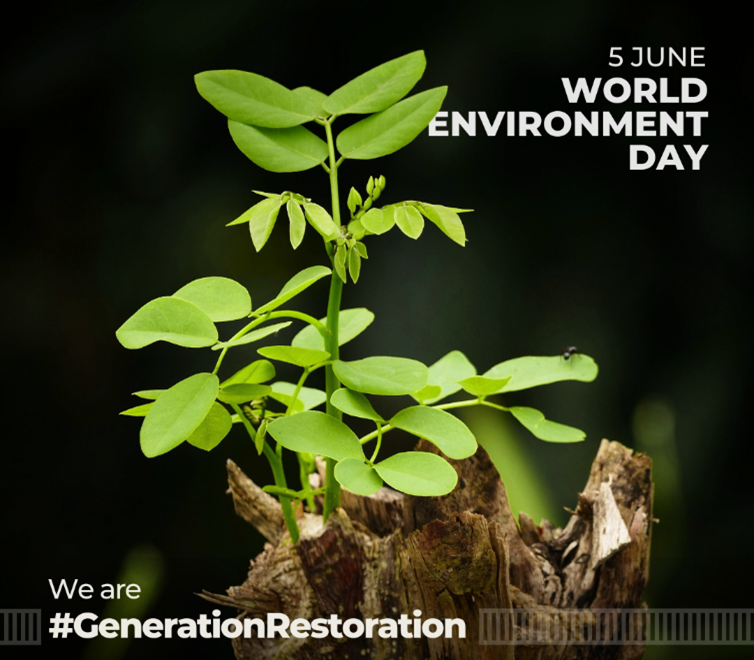 To mark #WorldEnvironmentDay, Elsevier has curated a special collection of journal articles and book chapters. Explore articles relating to restoring land, building drought resilience, and stopping desertification by visiting: sdgresources.relx.com/special-issues…