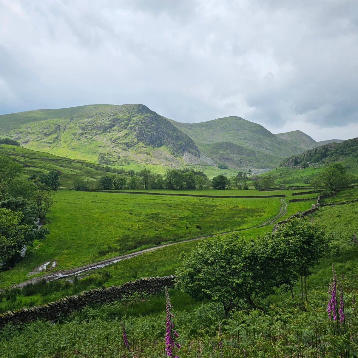 IndieCraftKDL's tweet photo. Great circuit from Staveley taking in Gatesgarth and Nan Bield Passes. The weather held up although it was a bit blowy up top! #mtb #mtblife #lakesmtb #nukeproof https://t.co/zZ3CuyLuvm