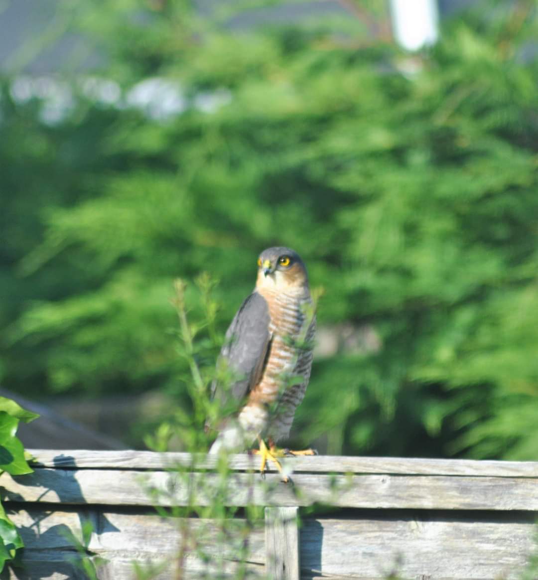Jo Carr 🐝🌈🚣♀️🎨📷 tweet media