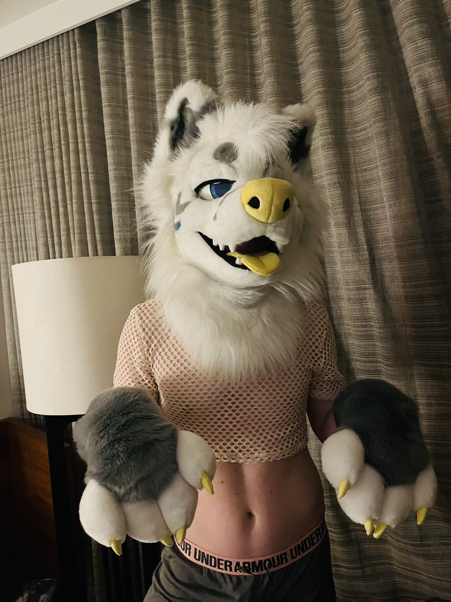 Amppubby's tweet photo. Doggy's friendly reminder to dress in whatever makes you happiest 💛🤍 https://t.co/fFc6dgGOcF