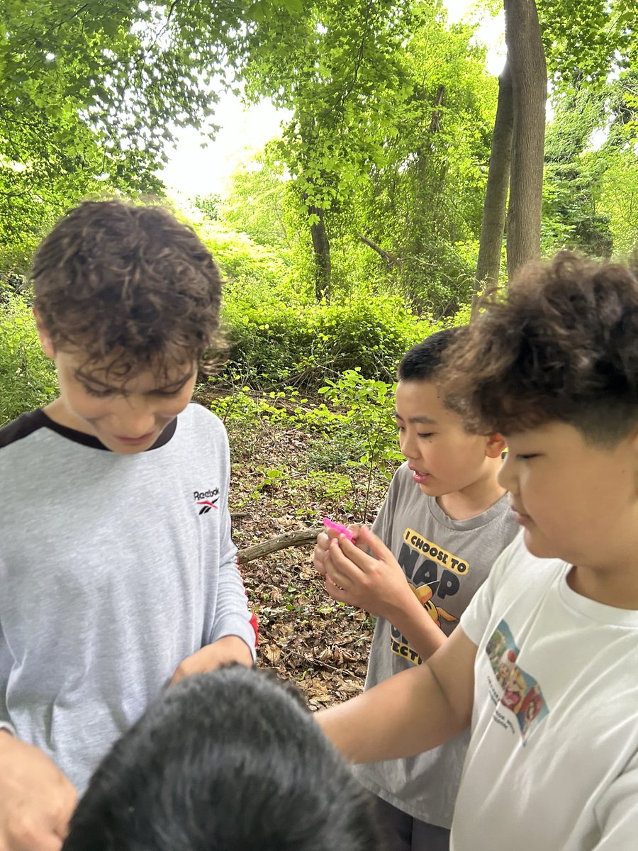 Geocaching and teamwork today at the nature preserve. <a href="/JerichoMS/">Jericho MS</a> <a href="/saraballute/">Sara Ballute-Scianablo</a> <a href="/jamie_hermel/">Jamie Hermel</a> <a href="/ELALead/">Transform</a>