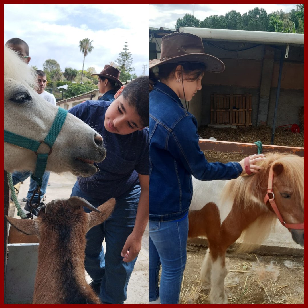 Obaido_Ass's tweet photo. ESPLAI.
.
Dissabte carregat d'activitats!
.
🤹 Els més petits al @gretibadalona 
.
🐴 Mitjans a @enamontgat 
.
🤸I joves a @flydom_es 
.
#diversitatfuncional #lleureperatothom #obaido #esplai https://t.co/92or5U7SaU