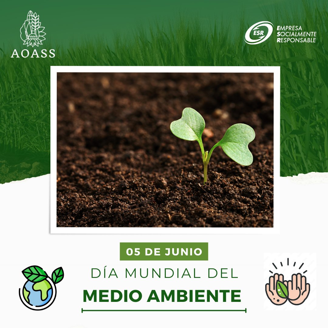 🌍🌱Hoy es el Día Mundial del Medio Ambiente🌾 
Recordemos la importancia de cuidar nuestro planeta!
Pequeñas acciones marcan grandes diferencias.  
#DíaMundialDelMedioAmbiente
#AOASS