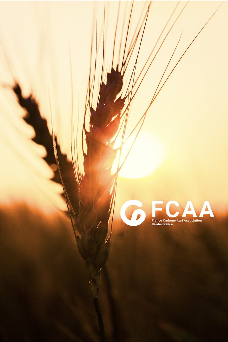 CarboneIDF's tweet photo. Journée Mondiale de l'Environnement:

@CarboneIDF, @CarbonAgri et les agriculteurs oeuvrent au quotidien dans un objectif de diminution de l'impact carbone du secteur agricole.

Ces projets #BasCarbone s'inscrivent plus que jamais au coeur des enjeux environnementaux.🌻

#FCAAIDF https://t.co/ilAywftr5J