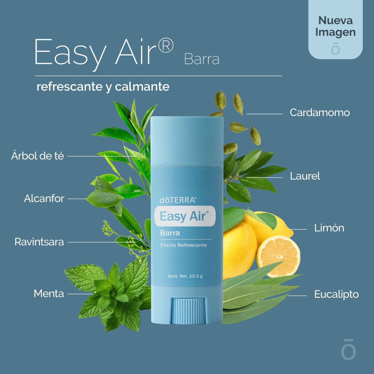 doTERRAMXof's tweet image. ¡Apapacha a tus pulmones y tu respiración con la nueva barra Easy Air de dōTERRA!💙💙💙 Conoce más sobre sus ingredientes y beneficios aquí 👇😊