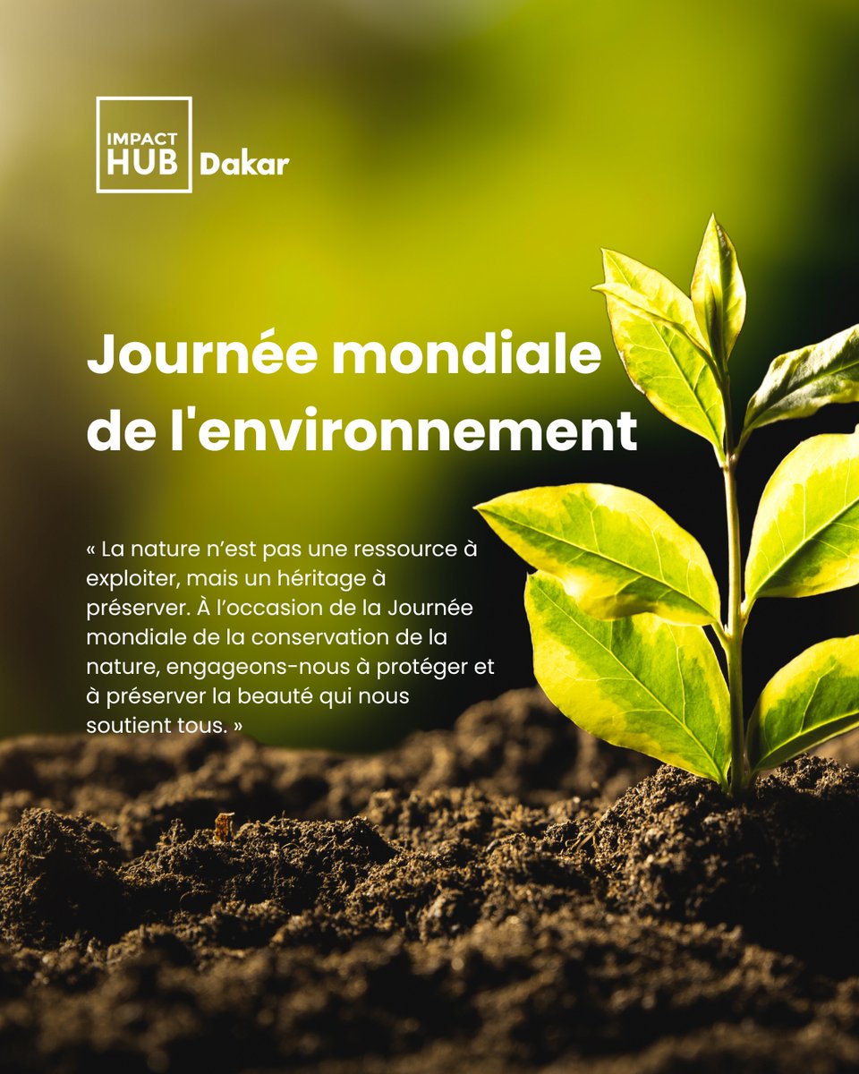 impacthubdakar's tweet image. 🌍 Aujourd'hui, nous célébrons la Journée mondiale de l'environnement ! Chez Impact Hub Dakar, nous sommes dédiés à promouvoir des initiatives durables et à encourager l'innovation verte. Ensemble, construisons un avenir plus vert et plus durable. 🌿

#ImpactHub #Sustainability