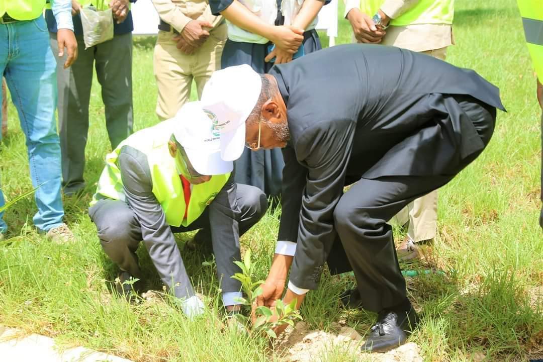 climate42101's tweet photo. #SWS President @Laftagareen participate in today's #World_Environment_Day event at the Presidential Palace in #southwest-state . The Theme of this year is “land restoration, desertification, and drought resilience,” #ClimateAction #Tree-planting # https://t.co/EfifHEmMqV