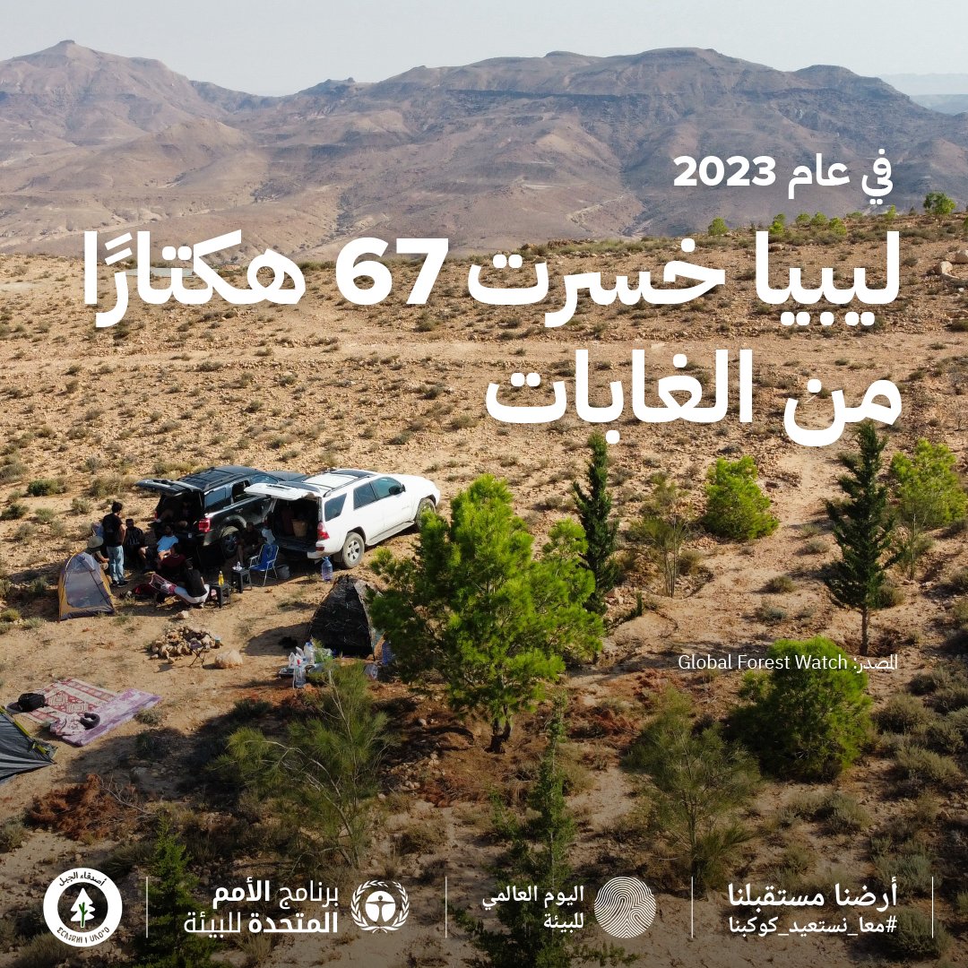 Mountain_ly's tweet photo. 🌳هل تعلم؟ 
في عام 2023، خسرت ليبيا 67 هكتارًا من غاباتها الطبيعية! 
هذه الخسارة الكبيرة تشكل تهديدًا لبيئتنا، حيث تغطي الغابات فقط 0.1% من أراضي #ليبيا، هذه النسبة تجعل حماية الغابات المتبقية أمرًا بالغ الأهمية.

🔗 المصدر: Global Forest Watch
#GenerationRestoration https://t.co/GIhPj03xNV