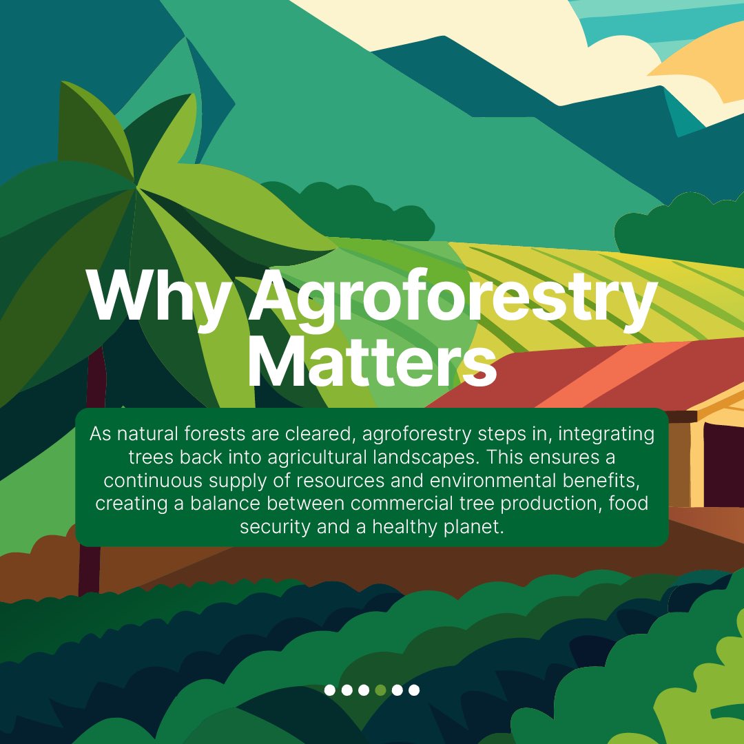 CIFOR-ICRAF tweet media