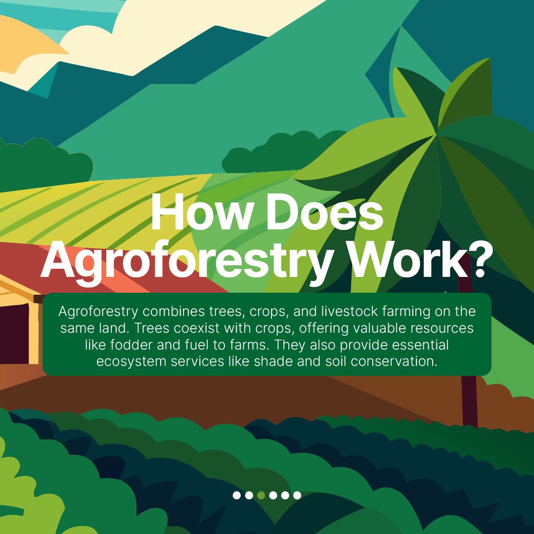 CIFOR-ICRAF tweet media