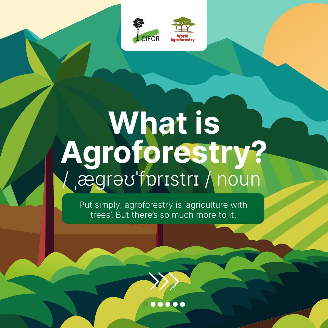 CIFOR-ICRAF tweet media