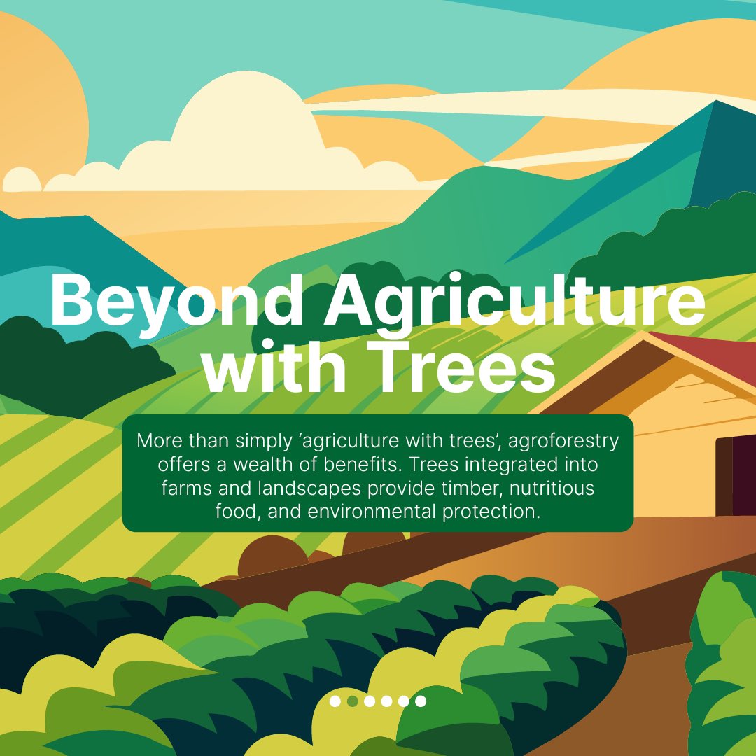 CIFOR-ICRAF tweet media