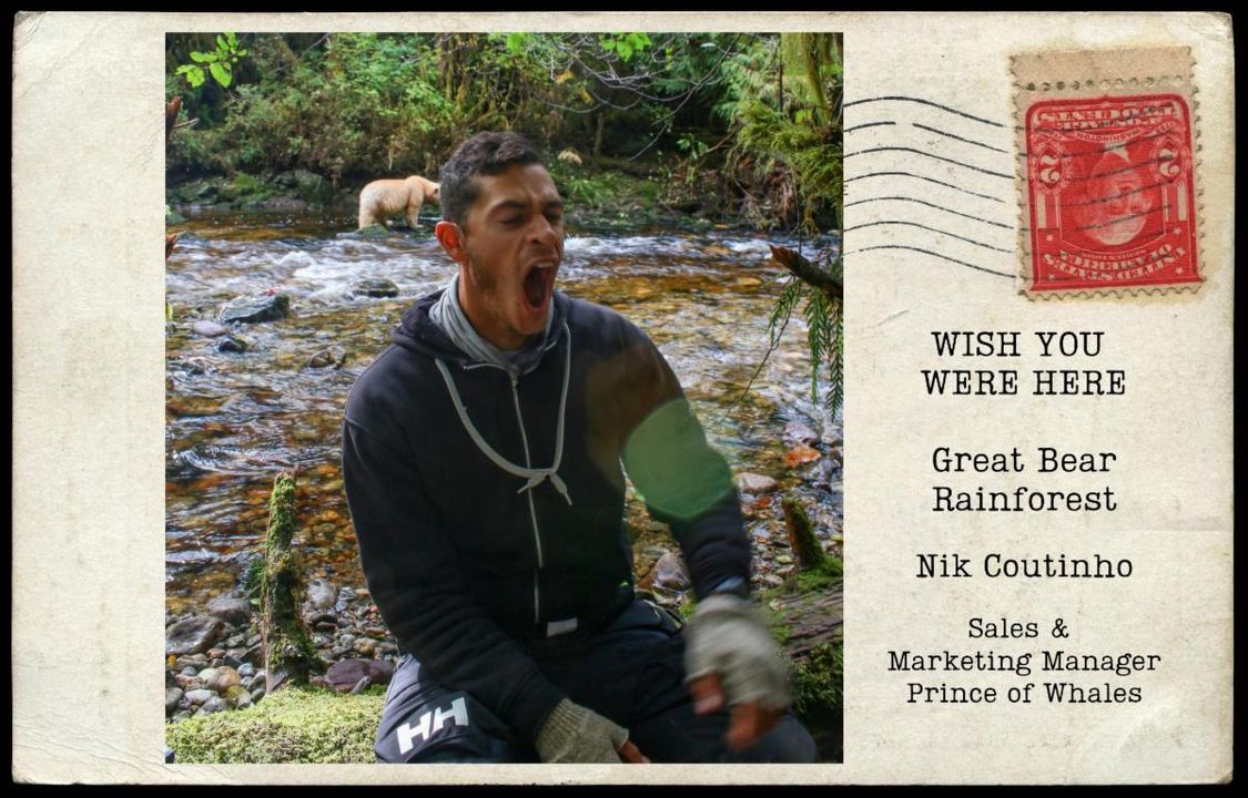 TIABC_CA's tweet image. 📬 Wish you were here from Nik Coutinho, Sales and Marketing Manager for @Whale_Sightings, at the Great Bear Rainforest! 🐻 

Would you like your image to appear in our weekly Postcards from BC feature? Contact deborah@tiabc.ca.

#PostcardsFromBC #DestinationBC #TourismBC