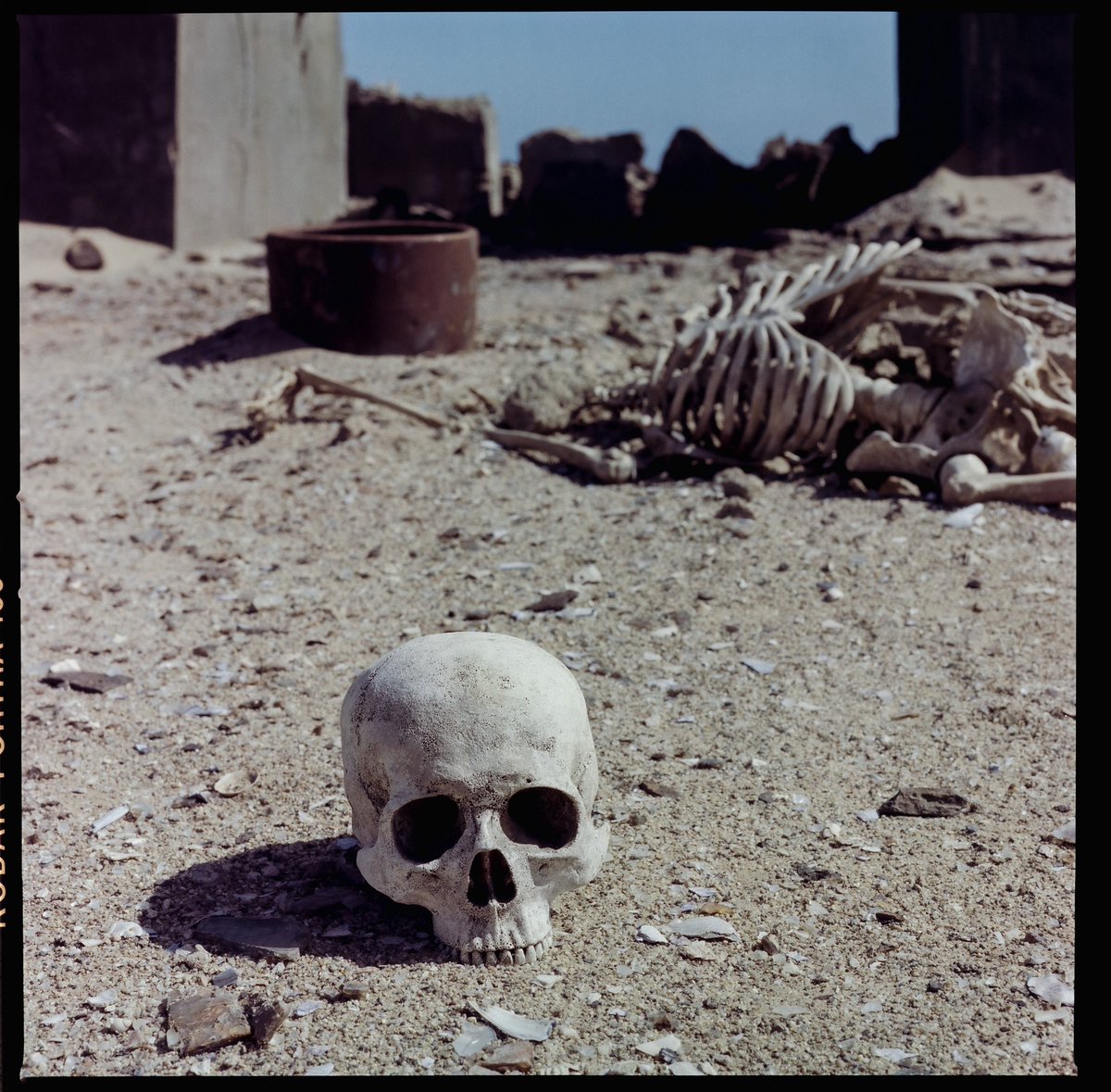 FALLOUT⚡️ tweet media