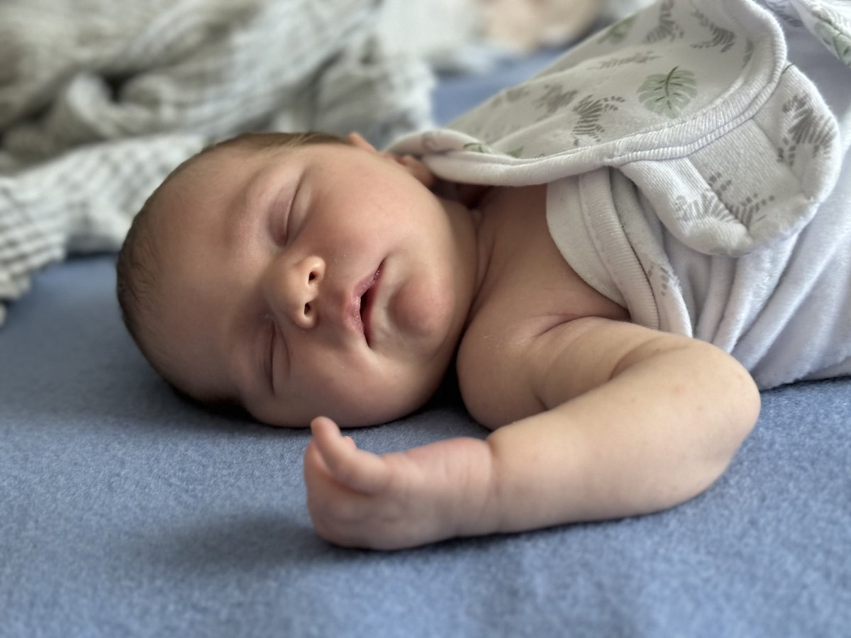 Patrick Traughber tweet media