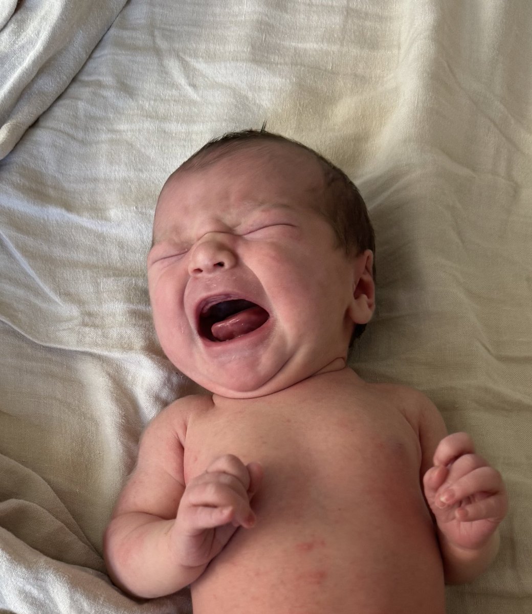 Patrick Traughber tweet media