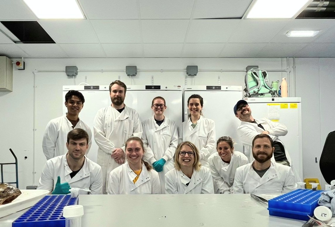 otolithgirl's tweet photo. So proud of this crew. Dissecting Atlantic #salmon heads all day to see what secrets their #otoliths &amp; eye lenses reveal. As these fish had died naturally &amp; had often festered the smell was 🤮! HUGE thx to the river crews for collecting these precious samples! #TakesAVillage 1/2 https://t.co/9P4DWk73h4