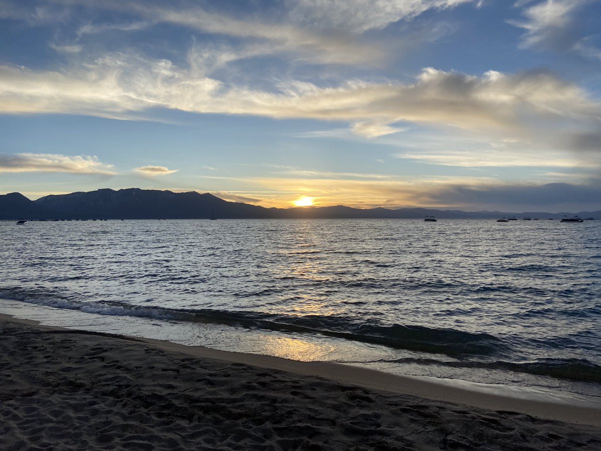 Touched some sand last weekend ☀️🌊🐕