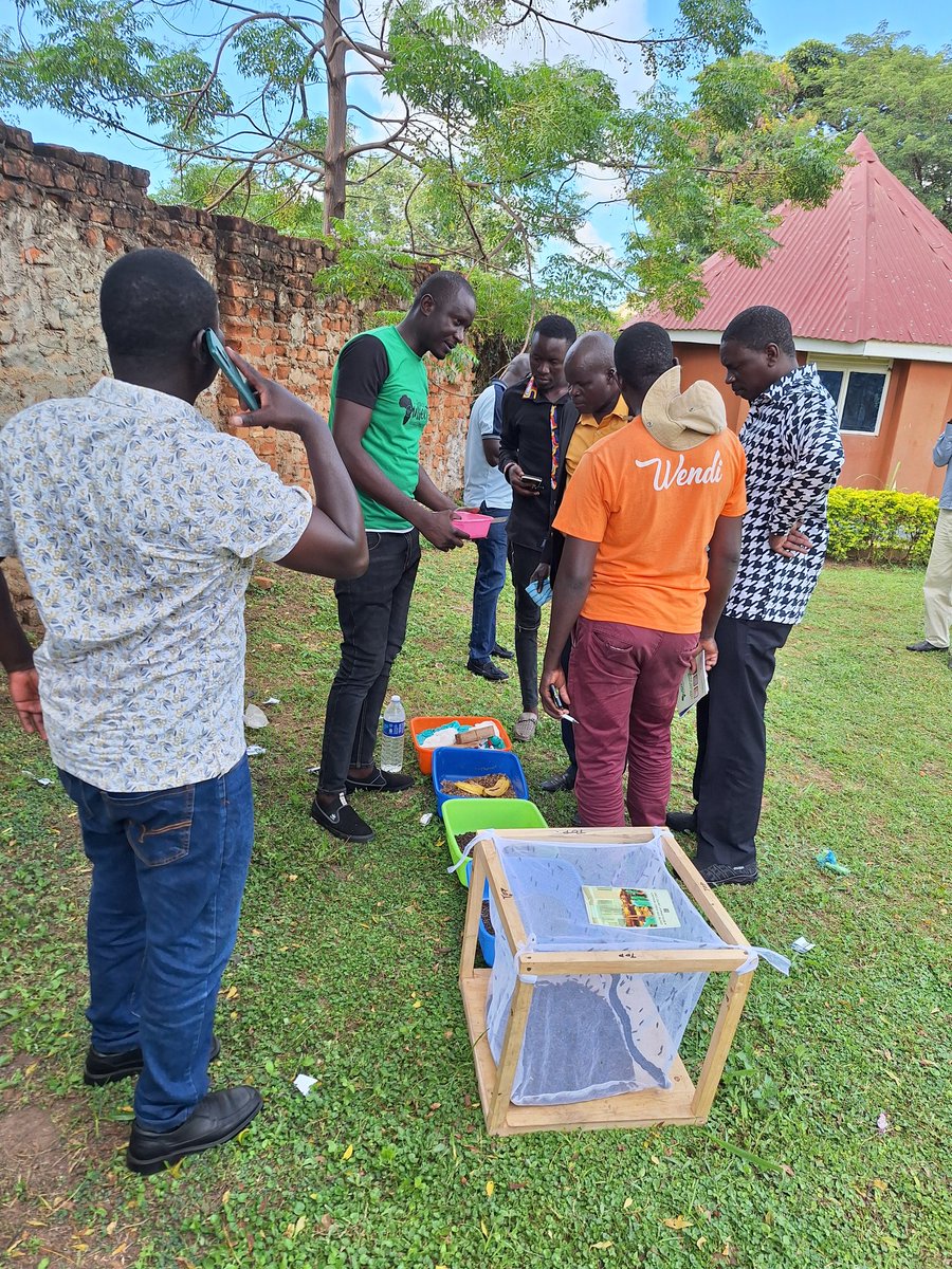 CIRD_Insects's tweet photo. Awareness creation and nurturing the next generation of insect entrepreneurs is our goal...#cird in soroti at Ateker symposium. #usaidpeer #makerere #bsf #climateaction https://t.co/vtml71Glp6
