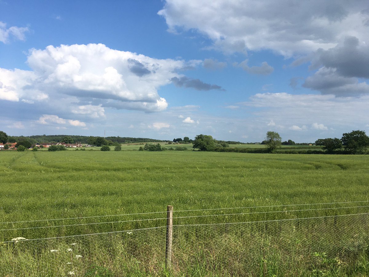 Was really fantastic to talk to all the visitors at <a href="/JohnInnesCentre/">John Innes Centre</a> #breedersday today about the great #brassica science in  <a href="/APH_ISP/">Advancing Plant Health</a> and <a href="/BRiC_ISP/">Building Robustness in Crops</a> This is the peaceful scene after all the fantastic networking