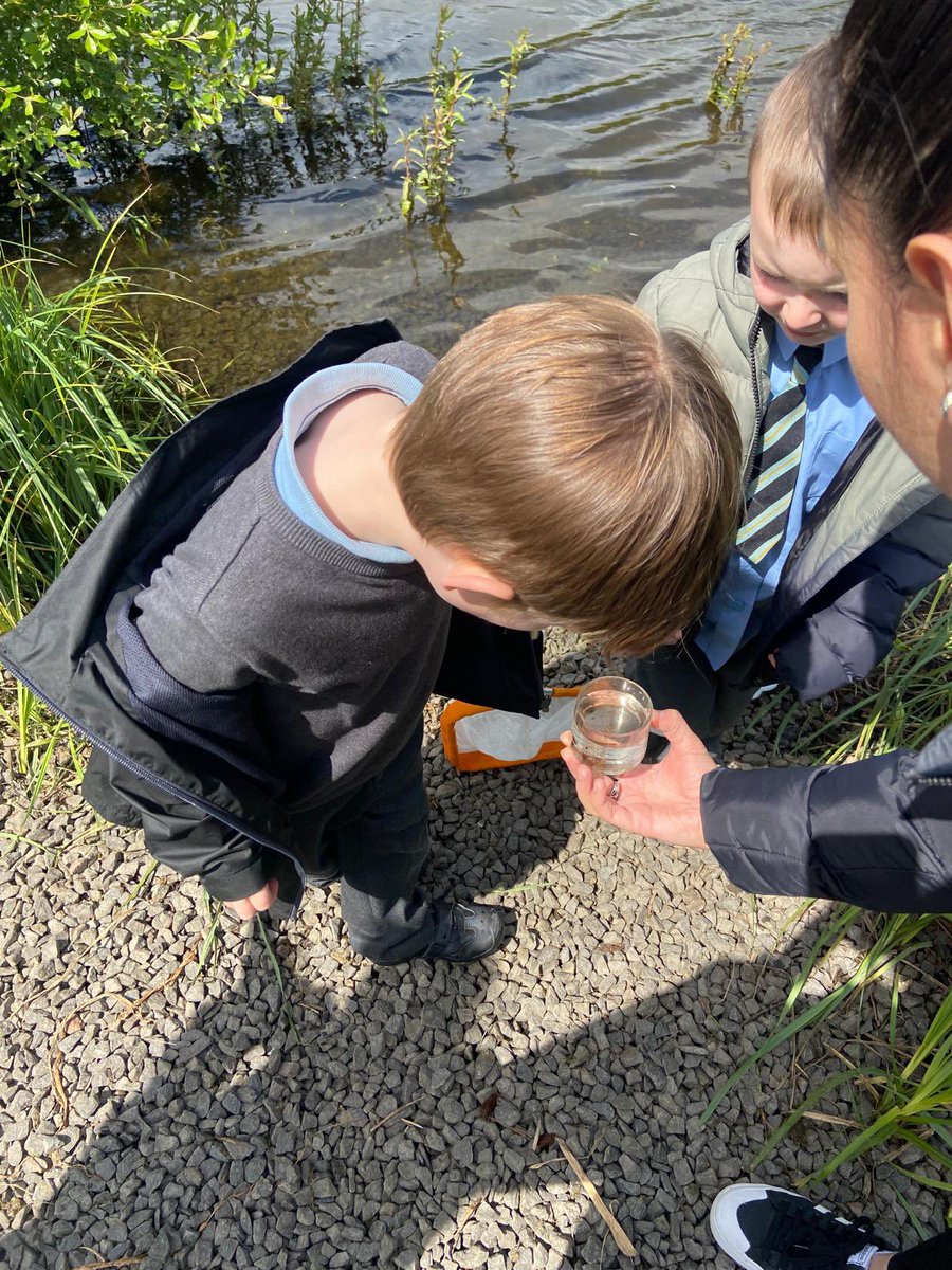 St Brigid's Primary, Toryglen (@stbrigidsps) on Twitter photo P1 had a great afternoon pond dipping <a href="/MallsMire/">Malls Mire Community Woodland</a> They saw dragonflies, tadpoles, frogs and swans. One of the swans even came to wave us off as we headed back to school! Thank you so much <a href="/ARC_Bytes/">Amphibian and Reptile Conservation</a> P1 had a great afternoon pond dipping <a href="/MallsMire/">Malls Mire Community Woodland</a> They saw dragonflies, tadpoles, frogs and swans. One of the swans even came to wave us off as we headed back to school! Thank you so much <a href="/ARC_Bytes/">Amphibian and Reptile Conservation</a>