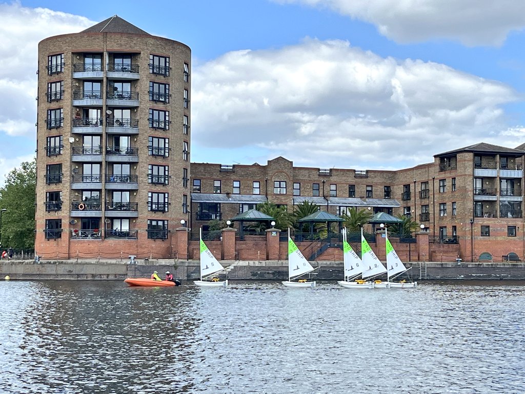 Albion Primary School tweet media