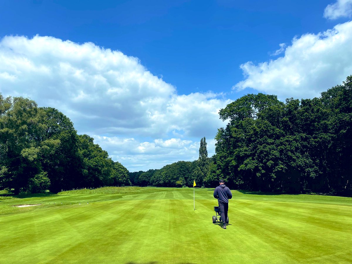 Wayne Aris tweet media