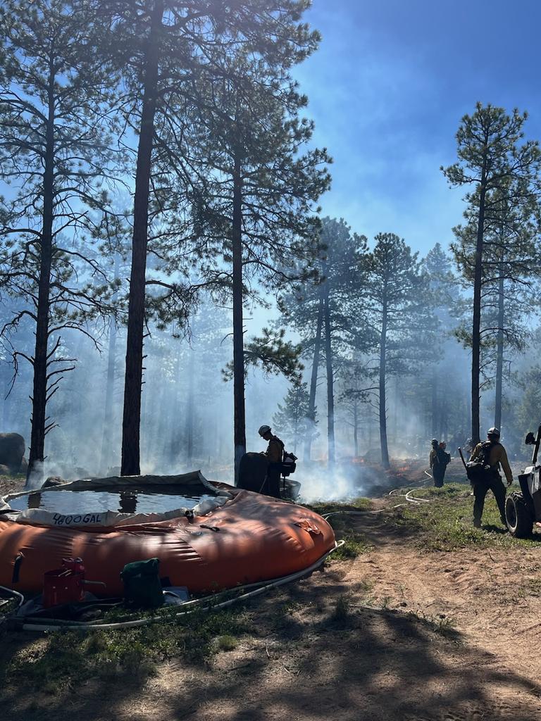 USFS_Pike&San Isabel tweet media