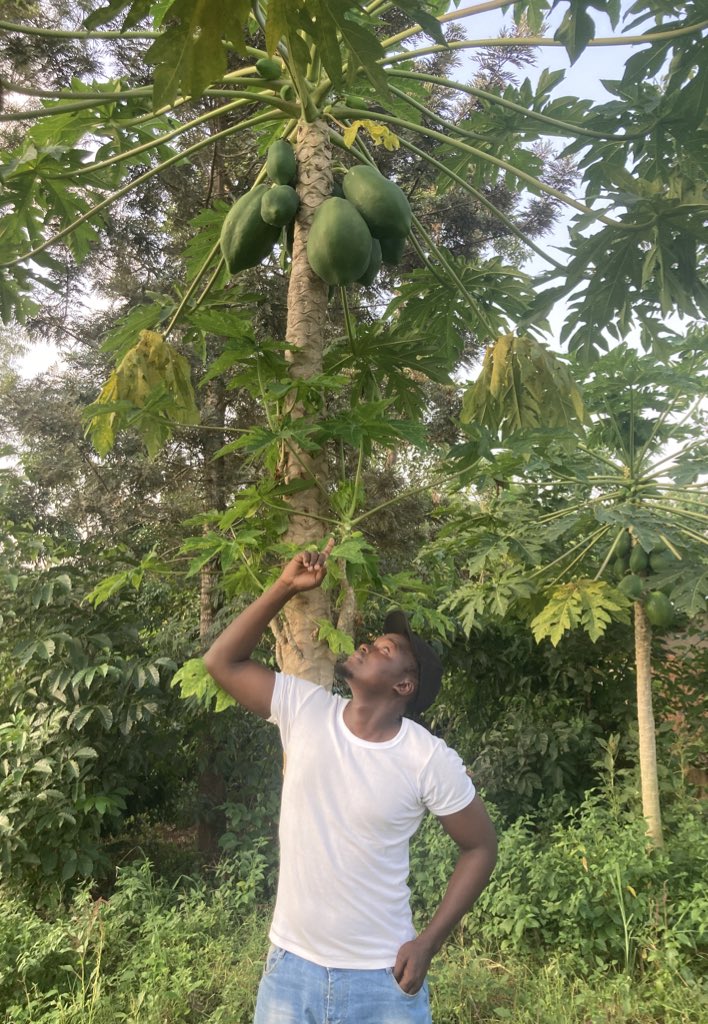 David_Owino1's tweet photo. Happy #WorldEnvironmentDay‌ !
Agriculture depends on the wider environment for its existence and sustainability.

Lets save the environment to ensure food security and secure our future.

#WorldEnvironmentDay‌ #savetheenvironment #foodsecurity https://t.co/Gv3Ijjko10