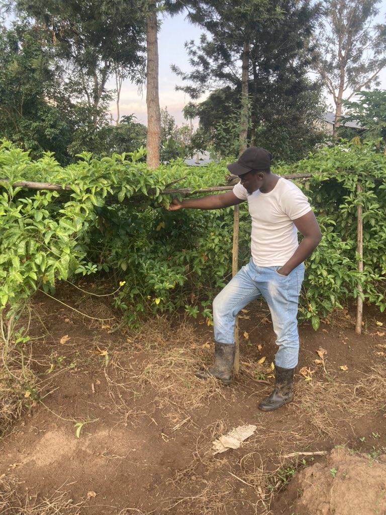 David_Owino1's tweet photo. Happy #WorldEnvironmentDay‌ !
Agriculture depends on the wider environment for its existence and sustainability.

Lets save the environment to ensure food security and secure our future.

#WorldEnvironmentDay‌ #savetheenvironment #foodsecurity https://t.co/Gv3Ijjko10