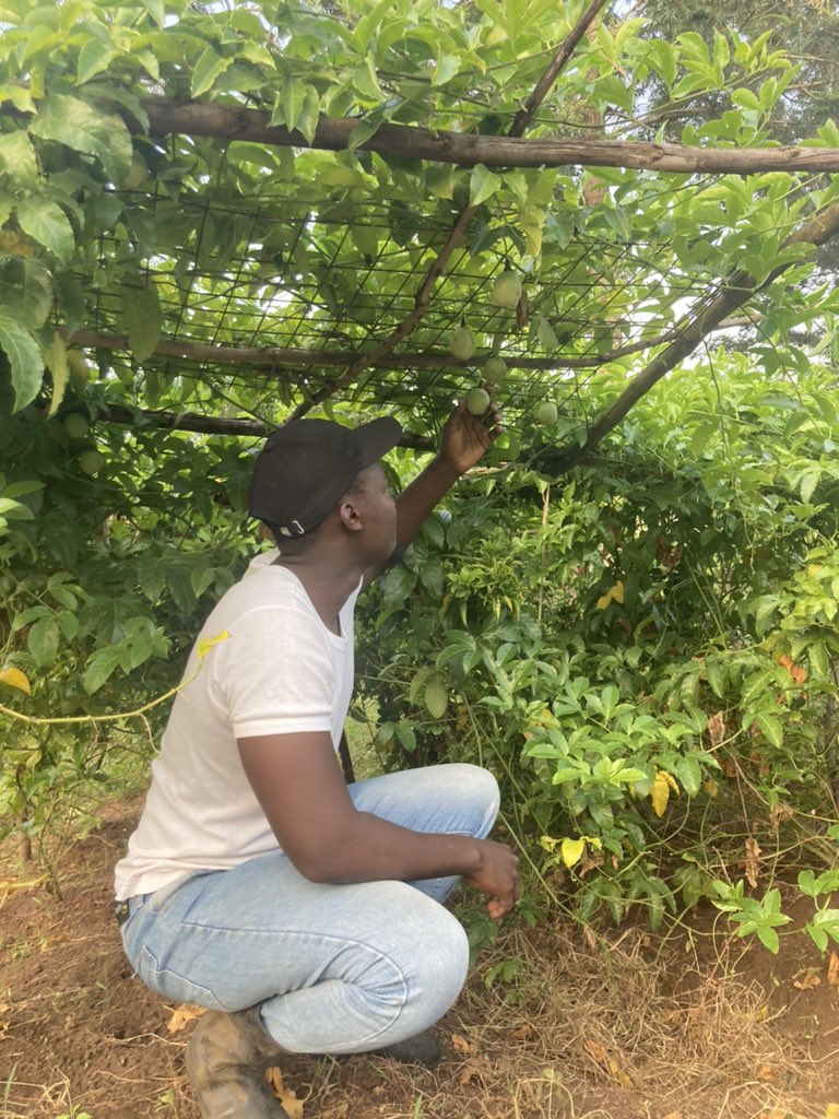 David_Owino1's tweet photo. Happy #WorldEnvironmentDay‌ !
Agriculture depends on the wider environment for its existence and sustainability.

Lets save the environment to ensure food security and secure our future.

#WorldEnvironmentDay‌ #savetheenvironment #foodsecurity https://t.co/Gv3Ijjko10