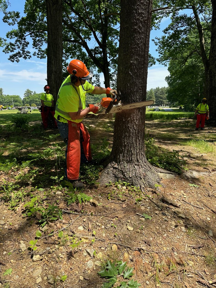 baystateroads's tweet photo. James, from the Westminster Department of Public Works, got a perfect score today during the 2-day Chainsaw Skills and Safety class! He won a pair of high-viz chaps for that perfect score. Strong work James! https://t.co/T3c2guWX3s