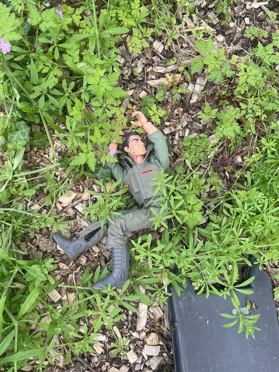 The Cave tweet media