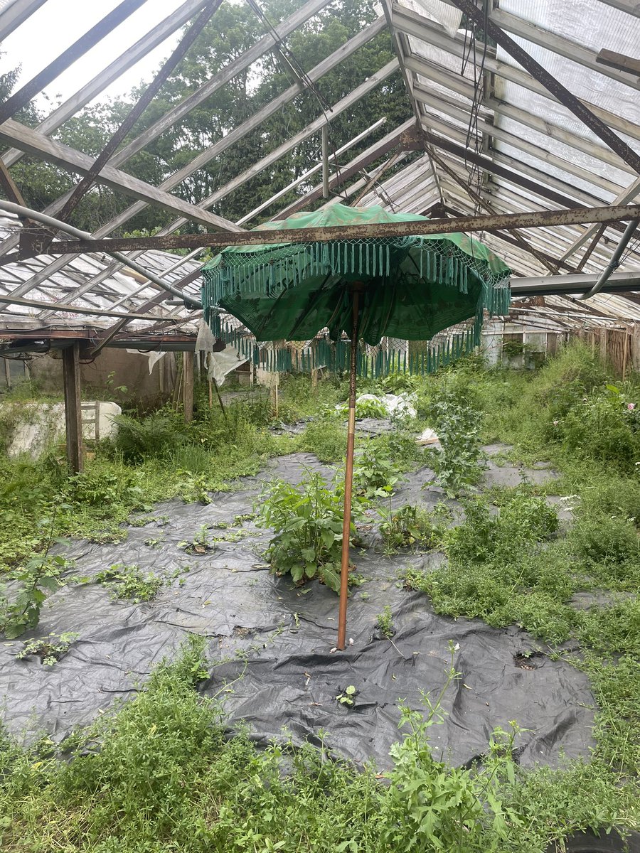 The Cave tweet media