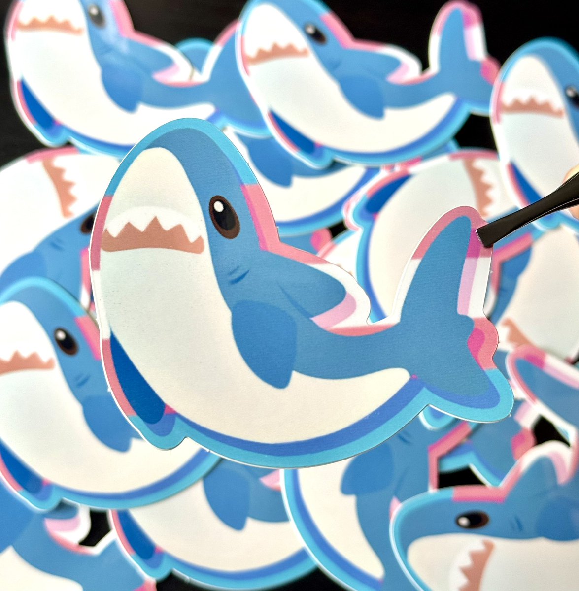 🎡 Rabid!! 🎪 tweet media