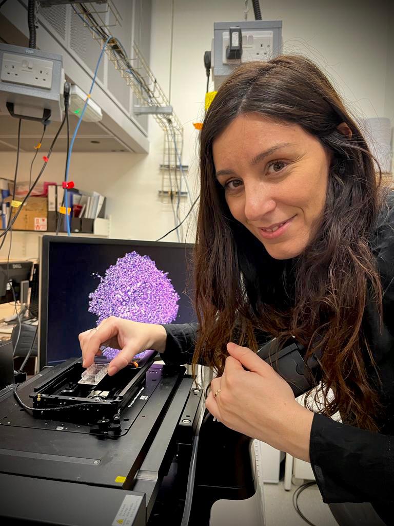 Chan Zuckerberg Initiative (@chanzuckerberg) on Twitter photo Proteins are ~1000x smaller than cells + they help cells carry out their specialized tasks! 🧐 We need better tools to see them in action.
🔬 <a href="/ssimoncelli/">Sabrina Simoncelli</a> + team are working on building a new microscope that will allow us to study movement of multiple proteins in detail Proteins are ~1000x smaller than cells + they help cells carry out their specialized tasks! 🧐 We need better tools to see them in action.
🔬 <a href="/ssimoncelli/">Sabrina Simoncelli</a> + team are working on building a new microscope that will allow us to study movement of multiple proteins in detail