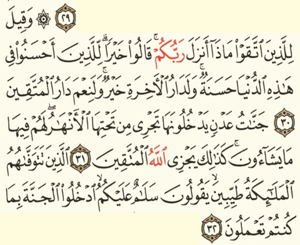 mo7ammad_baik's tweet photo. https://t.co/s1NjmuS1P6