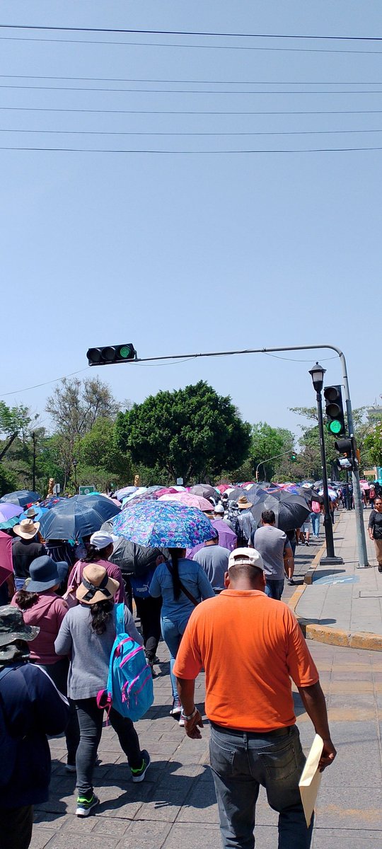 VRodrgz's tweet photo. Marcha de maestros. https://t.co/MEdKyzNNlL