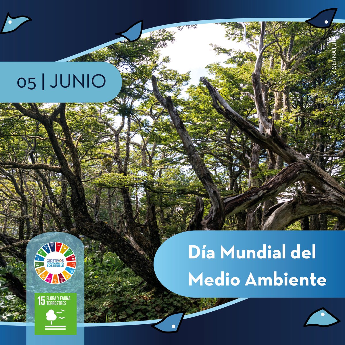 05 junio 🌠:   Hoy se conmemora en el mundo entero,  el Día Mundial del Medio Ambiente 🌎🍃.

La ONU estableció esta fecha en 1972, con el fin de generar conciencia y promover la generación de acciones que contribuyan al cuidado de nuestro planeta 🐳🌊 .