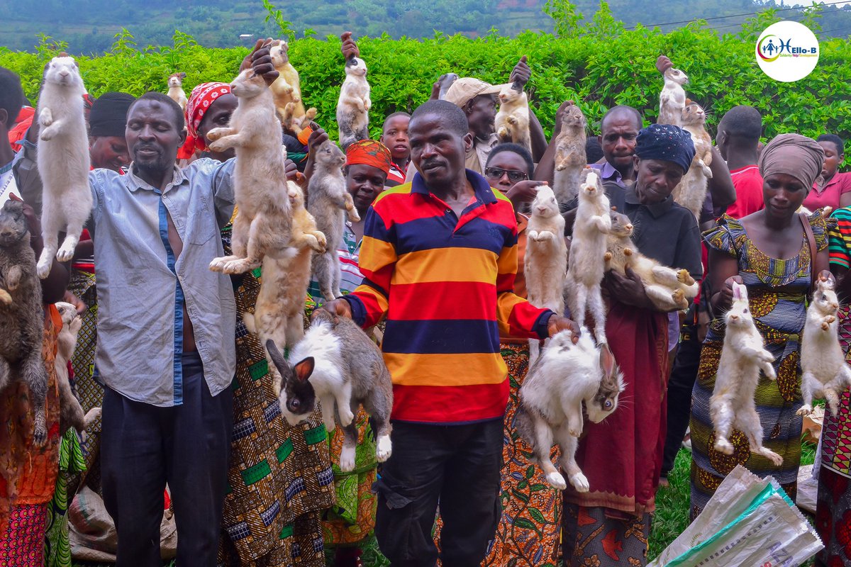 HelloB_ASBL's tweet photo. #Burundi: Dans le but d'appuyer la population à faible revenus principalement composée par les femmes, @HelloB_ASBL distribue les petits betails comme les lapins, chèvres &amp; porcs.
Certains citoyens de la commune #Isare, @BujumburaProv, qui ont reçu cet appui s'en réjouissent.
1/2 https://t.co/vc0e82dQha
