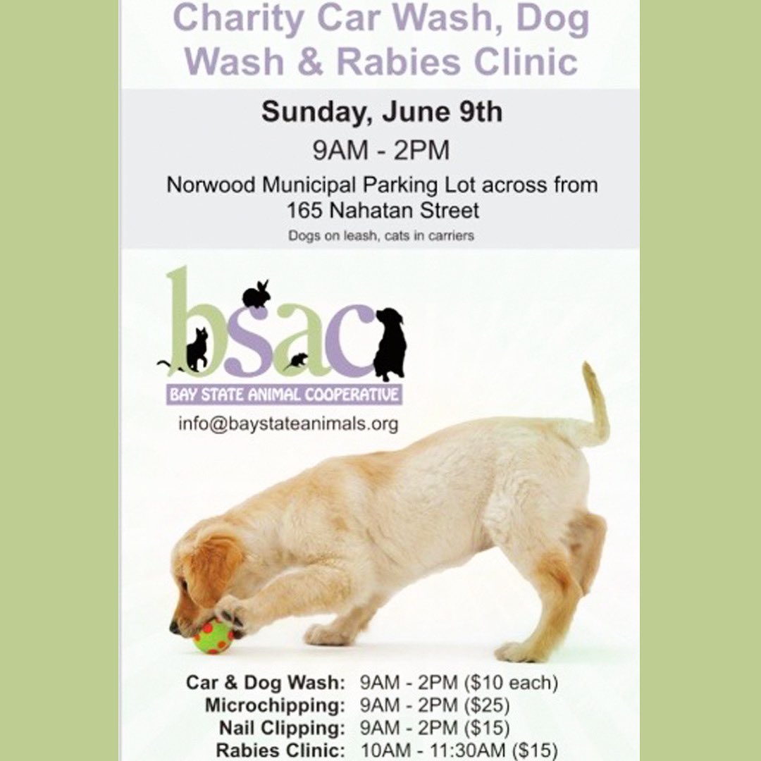 BayStateAnimals's tweet photo. BSAC Dog &amp; Car Wash this Sunday 🐕🐶🐩🐾 🚗 🚘 🚙 

-Sunday June 9th
-9am to 2pm
-Norwood, MA Municipal Parking Lot

➡️ Pricing and Times:
$10 dog and car wash 9am-2pm
$25 microchipping 9am-2pm
$15 nail clipping 9am-2pm
$15 rabies clinic 10am-11:30am

#norwoodma #norwoodmass https://t.co/iDiJWpKrCK