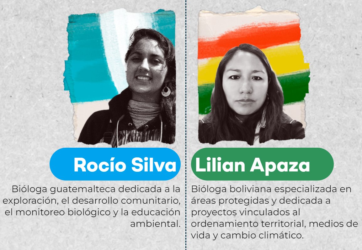 LatinClima's tweet photo. En el Día Mundial del Medio Ambiente te invitamos a conocer las historias de dos jóvenes biólogas que tomaron acción y lideran proyectos innovadores de conservación y restauración de la biodiversidad en sus países. Scrollytelling de #VocesClimáticas
https://t.co/gLV3LgeLQO https://t.co/csCkW9TKQj