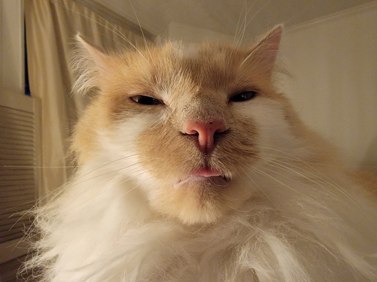 Benjamin Anderson tweet media