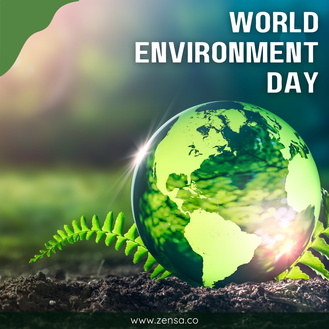 Zensa_LLC's tweet photo. Happy World Environment Day!

Today, we celebrate our planet and all the incredible life it supports. Let's work together to reduce our carbon footprint, conserve resources, and promote biodiversity. Together, we can create a healthier, greener planet for all🌍🌳. #Sustainability https://t.co/qTb8I8IOVk