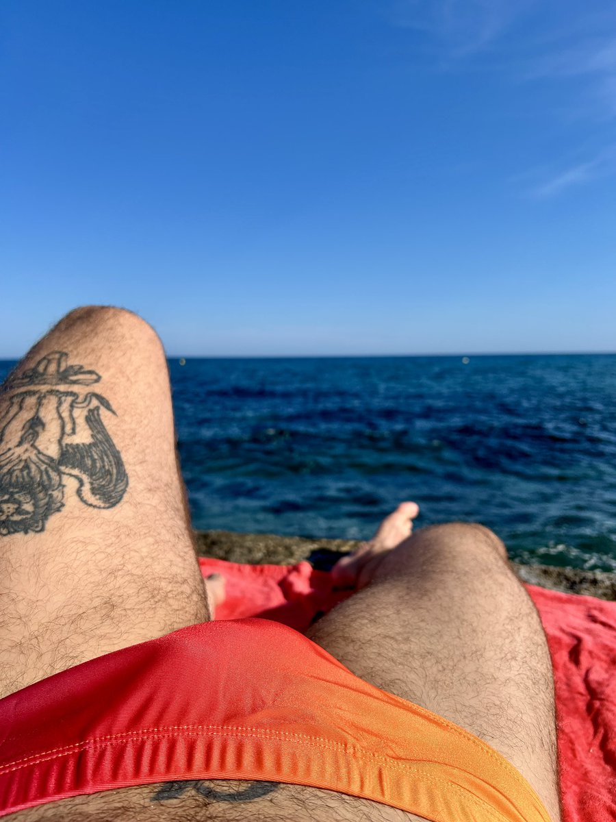 🐚