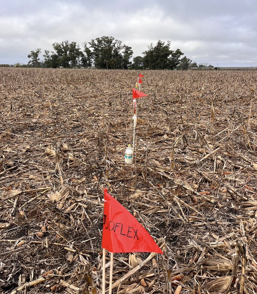 Con tremendo barbecho, arrancamos el desafío del campo experimental! 🤩<a href="/agroterrauy/">agroterrauy</a>