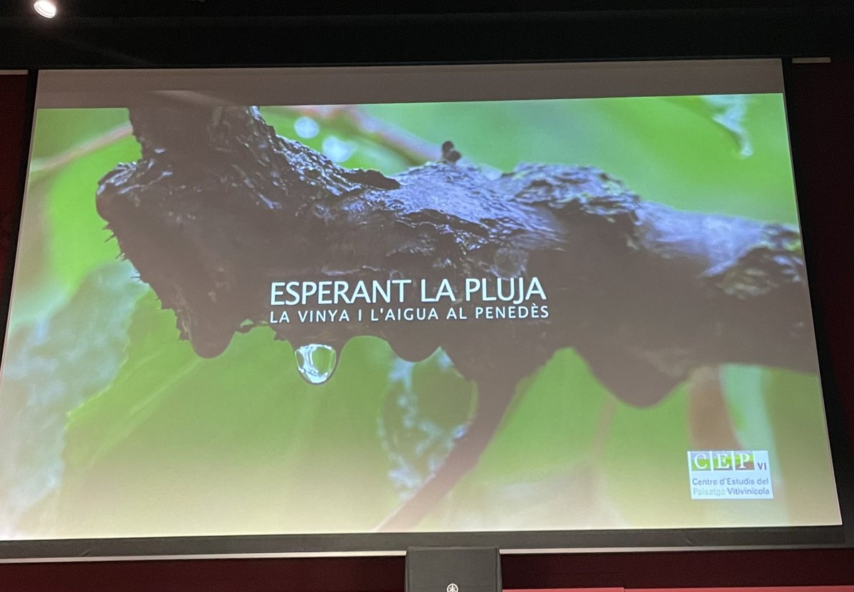 MuletViticultor's tweet photo. Tormen al @vinseum per seguir aprenent, un altre gran projecte del #PepPuig amb #CepVi https://t.co/HHEdYFGpuP