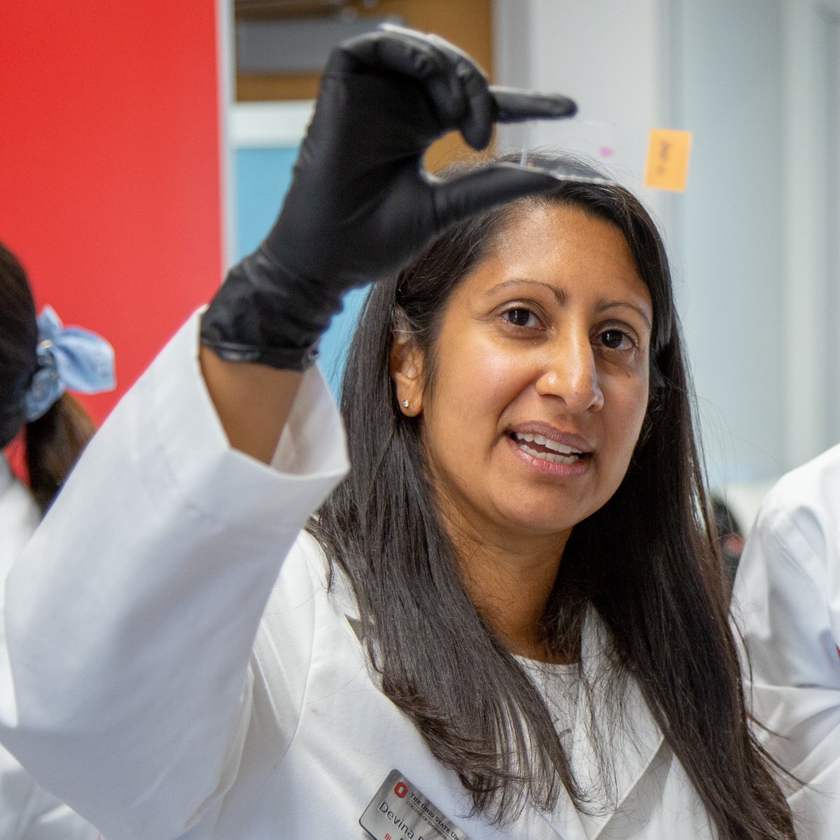 OSUengineering's tweet image. An interdisciplinary team led by @OhioStateBME Associate Prof. Devina Purmessur Walter has received a $200K Catalyst grant through the President’s Research Excellence program to advance a novel back pain gene therapy engineering.osu.edu/news/2024/06/b…