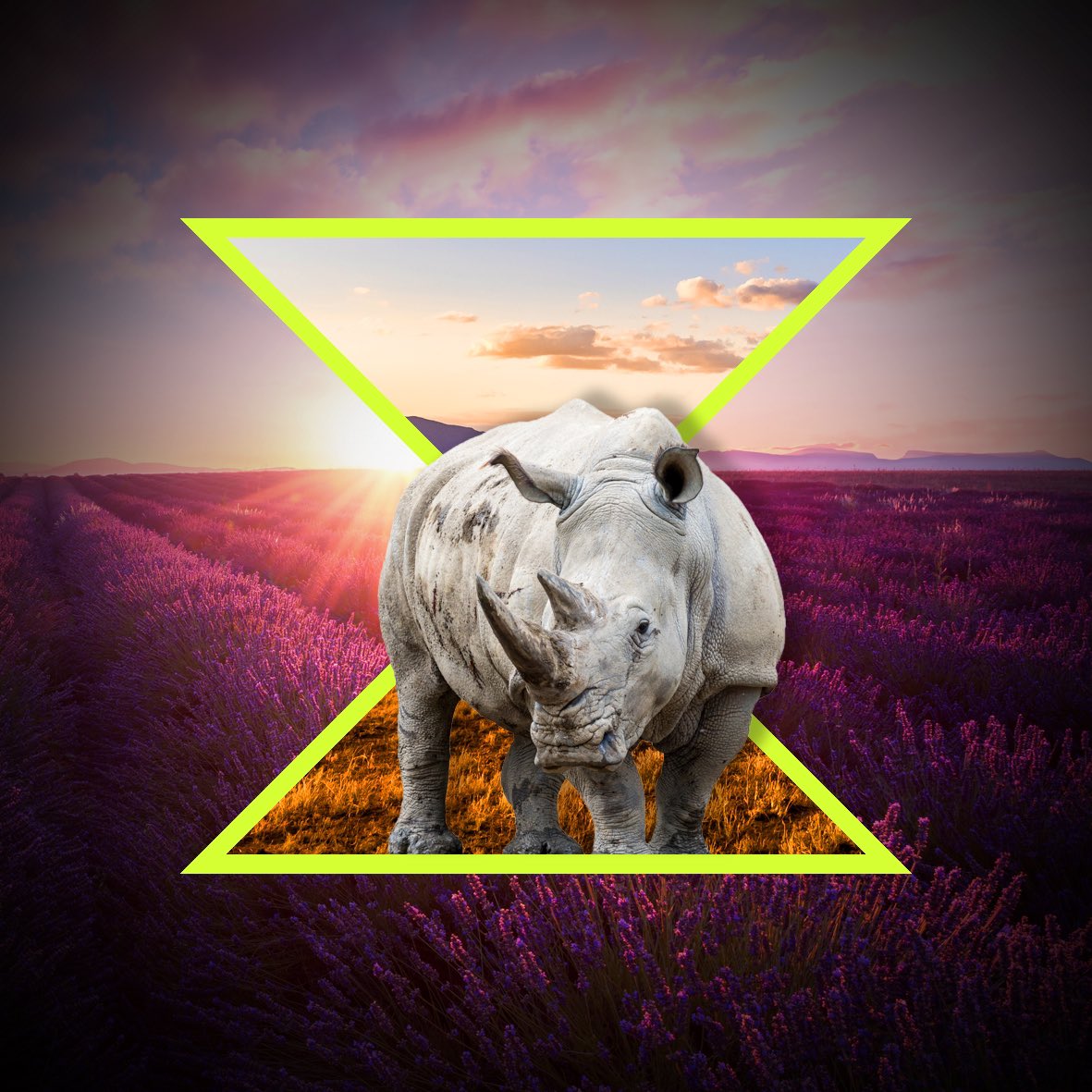 Create Onsight tweet media